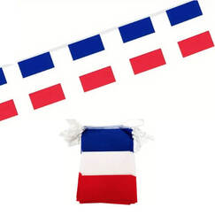 French Flag Pennant Banner
