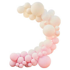 Soft Pinks Balloon Garland Kit (75 Balloons)