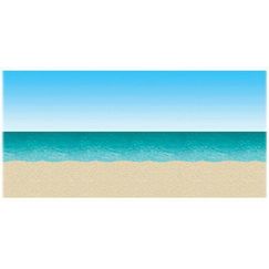 Ocean Beach Backdrop (9m)