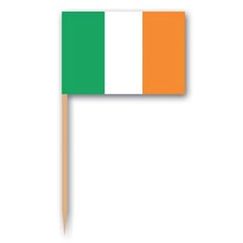 ! Irish Flag Picks - pk50