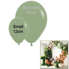 Eucalyptus Small 12cm Balloons - pk50