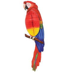 Hanging Parrot (58cm)