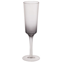 Ombre Re-usable Plastic Champagne Flute