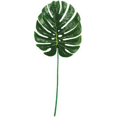 Palm Leaf (75cm tall)