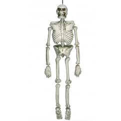 Hanging Life-size Skeleton (1.4m)