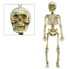 Hanging Skeleton (39cm)