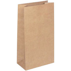 Rustic Paper Treat Bags - pk6