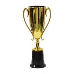 Gold Cup Award Trophy (21cm tall)