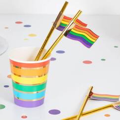 Rainbow Flag Straws (pk16)