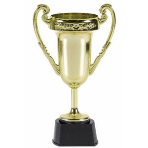 Gold Cup Award Trophy (23cm Tall)