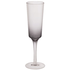 Ombre Re-usable Plastic Champagne Flute