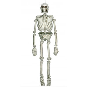 Hanging Life-size Skeleton (1.4m)