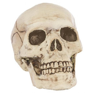 Plastic Skull Head Prop (15cm)