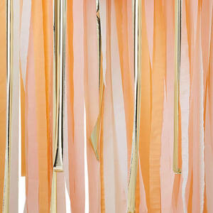 Peach And Gold Streamer Backdrop